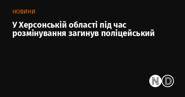 У Херсонській області внаслідок розмінування загинув працівник поліції.