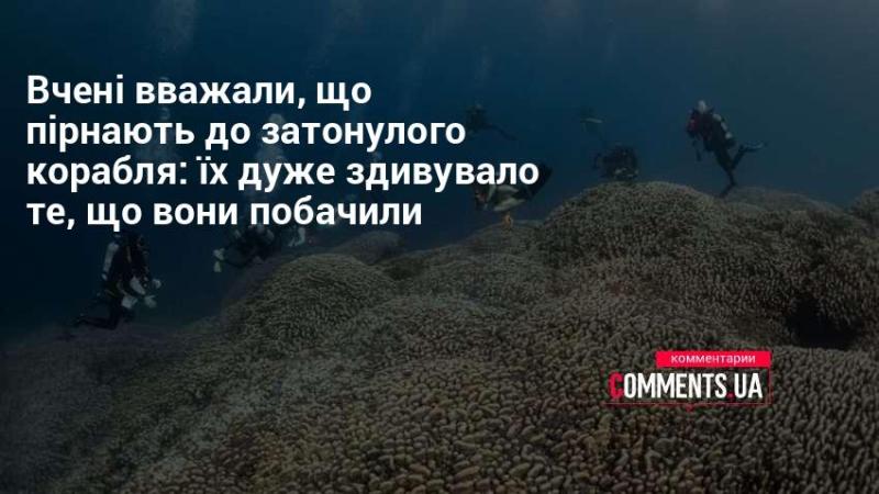 Дослідники вирушили на дно океану, щоб дослідити затоплений корабель, і були вражені тим, що їм вдалося виявити.